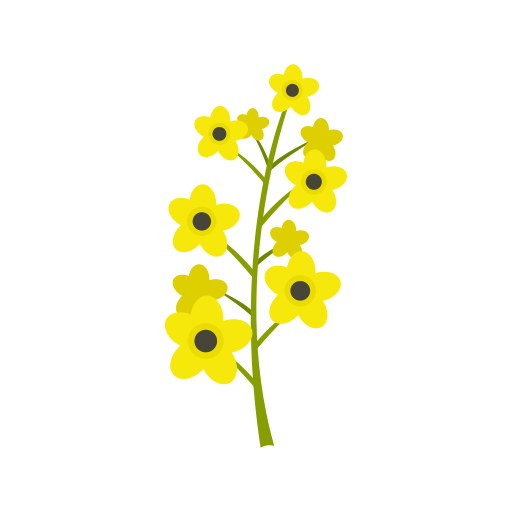 category